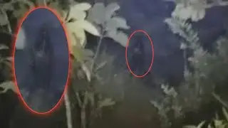 Ketemu kunti hitam Jemput taufik nf nyasar #misteri FGJ