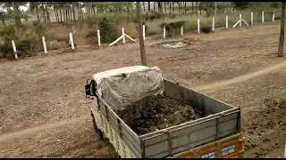 Bobcat Skidsteer loaders in Poultry farm cleaning #Bobcatskidsteerloaders#poultrycleaning#ManojM#