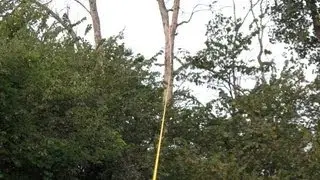Rope Gun Line Cannon Demonstration