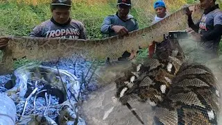 Dambuhalang sawa sa tarlac Part 3