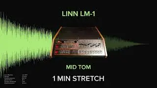 Linn LM-1 Mid Tom (1 MINUTE)