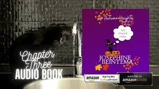 Two Drops of Chaos Chapter 3