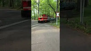 Parkeisenbahn Chemnitz K&uuml;chwald mit Schrankenschlie&szlig;ung. #chemnitz2025  #parkeisenbahnchemnitz