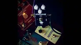 ProAnalog Devices MKIV Vintage Fuzz Drive
