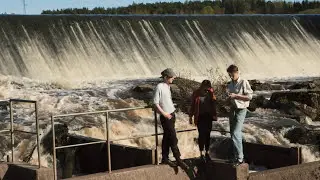 Vasas flora och fauna - Honda monkey (Official Video)