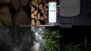 Desodorante Natural Romero y Madera de Encino  | Sin aluminio, sin bicarbonato, unisex | Maxalli