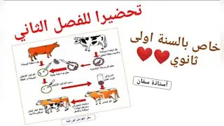 افضل شرح لوحدة تاثير العوامل الداخلية على انتاج الكتلة الحيوية✌ الجزء الاول💪