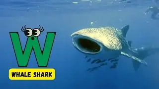 ABC Underwater Fish Song 🎶 | Fun Alphabet Learning for Kids | #abcd #kids