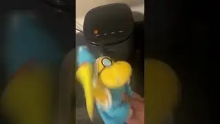 SML Skit: Junior Gets Fat Shamed! #funny #smlpuppets #supermariologan #memes #comedy #shorts #yt