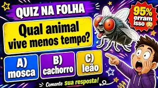 Animais em 5 Minutos! (Compilado Rápido)