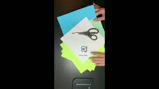 Blue Mind Divers Origami Turtle