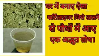 Cottonseed oil cake liquid fertilizer. कॉटन सीड ऑयल केक से बनाए लिक्विड फर्टिलाइजर।