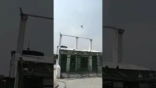 Rampur ki uran ki update
