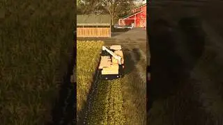 Satisfying Rice harvest FS25 Farming simulator satisfying gameplay short video