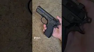 CZ P P01 new budget g10 grips