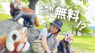 【福井/西山動物園】道の駅併設！車中泊後にまさかの無料で珍しい動物に会える動物園