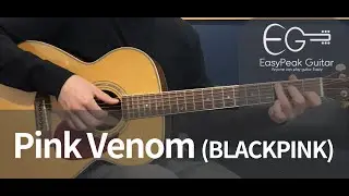 Pink Venom - BLACKPINK Totally Easy version of the Acoustic guitar ! !