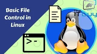 Basic File Navigation in Linux File System