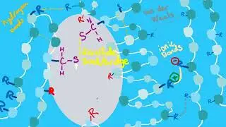 Protein Levels of Structure | Biological Macromolecules