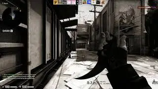 Niko turns on god mode | CS:GO Highlights