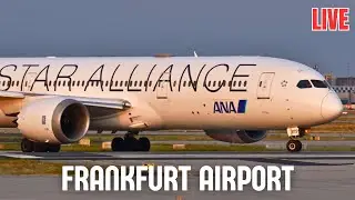 LIVE Frankfurt Airport Plane Spotting FRA, 28.12.2025