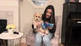 Intro to Snouty the Boingy on His Birthday