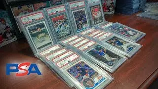 NEW PSA GRADED BASEBALL CARDS FOR THE COLLECTION! JUDGE, HARPER, DEVERS,  AUTOGRAPHS, AND MORE!