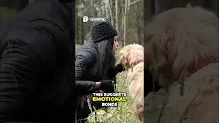 Ancient Dog Burial Found in Germany!