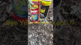 How to Get Rid of Inground Yellow Jackets 🐝 #bee #yellowjackets #raid #seven