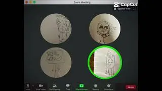 Zoom meeting disaster