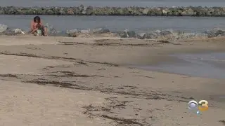 Oil Spill In Delaware Bay Appears To Be Spreading