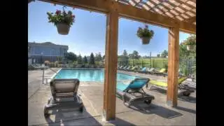 The Vue | Apartments For Rent