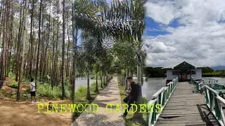 Pinewood Gardens//Manipur//Best Picnic Spot