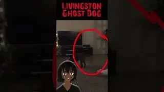 Chilling Encounters: Livingston's Ghost Dog Caught on Camera! #hauntedhouse #scarystories