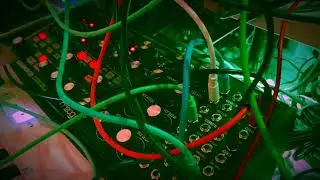 Cows - jamming and extending the Subharmonicon sequencer