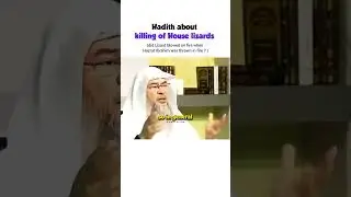 The Hadith about killing the house lizards ! |  #islam #islamic #hadith #history #islamichistory