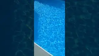 clean pool 😱 #summertime #summer #pools
