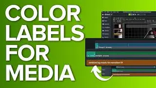 Color Labels in Camtasia: The Game-Changing Organization Hack