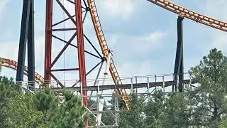 Kings Dominion Vlog #109 : Pantherian Update!
