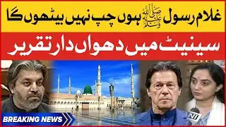 Ali Muhammad Khan Historic Speech in Senate | Namoos e Risalat SAW | Ali Muhammad Khan vlog