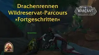 Wild Preserve Circuit Advanced: Gold (Dragon Racing, WoW: Dragonflight)