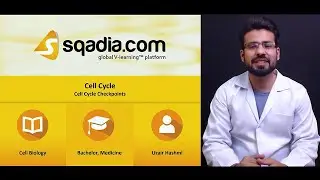 Cell Cycle | Cell Cycle Checkpoints