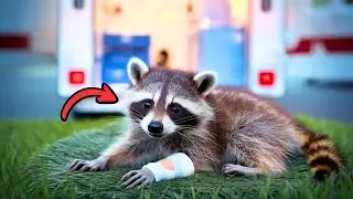 Ella salv&oacute; la vida de un beb&eacute; mapache y lo cri&oacute; en su casa
