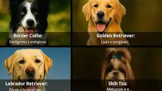 #curiosidades /#testedepersonalidade #cachorrosfofos #cachorrosdivertidos #ra&ccedil;asdecachorro #c&atilde;oamigo