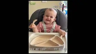 BRVTOT | Silicone Suction Dinner Plates for Babies, Toddlers, Kids #blw #babyfeeding