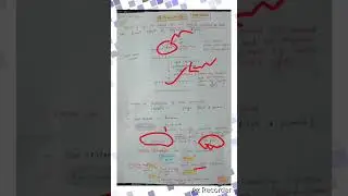 Photoreactivation DNA Repair Mechanism