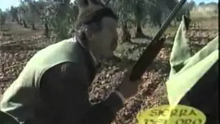 Caccia ai Tordi in Spagna/Chasse aux grives en Espagne