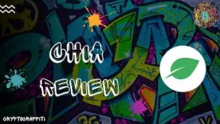 CHIA NETWORK REVIEW  👉 🌱  A new blockchain and smart transaction platform