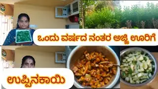 ಒಂದು ವರ್ಷ ಆದ್ಮೇಲೆ ಅಜ್ಜಿ ಊರಿಗೆ ಹೋಗಿದ್ದೆ, ಚೈಲ್ಡ್ memori, #dailyvlog #sumaacharkannadavlog #daily #vlog