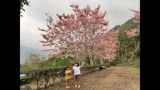藍藍露X親子露營Ｘ首露Ｘ那瑪夏達里沐露營區